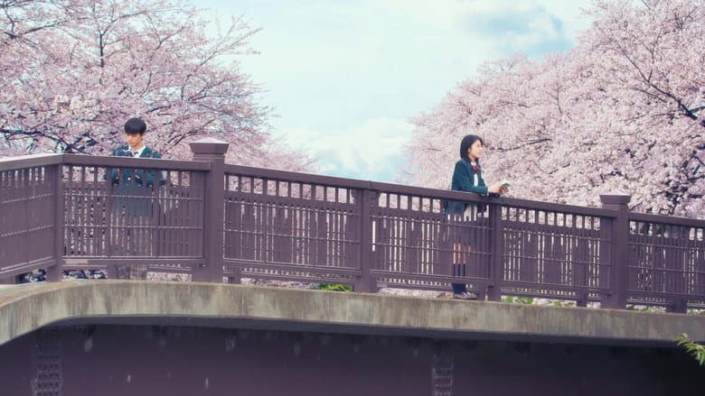 Backdrop from Let Me Eat Your Pancreas