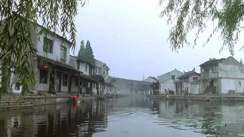 Backdrop from 这个假期特别长