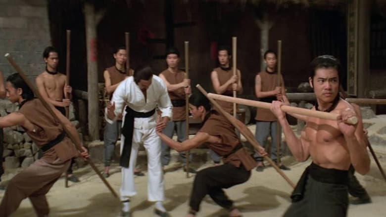 Backdrop from The Kung Fu Instructor