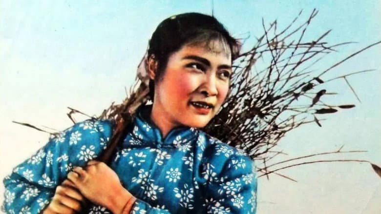 Backdrop from Hongse de zhongzi
