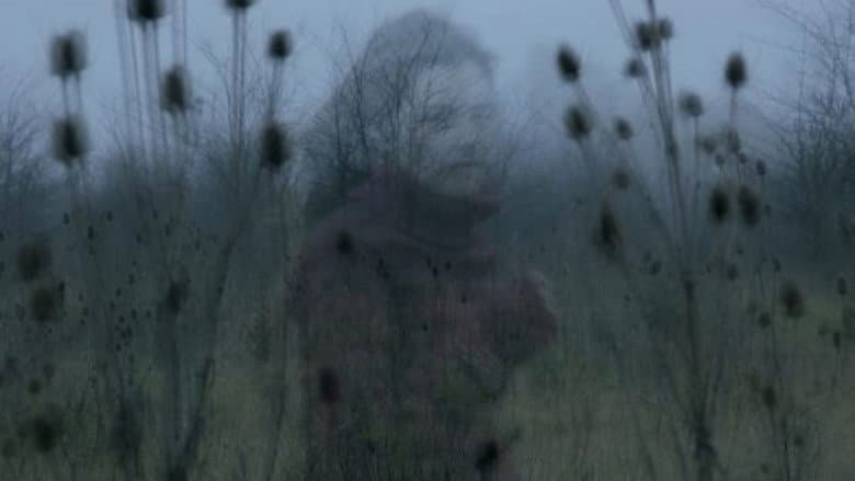Backdrop from Ghosts