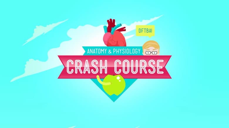 Backdrop from Crash Course Anatomy & Physiology