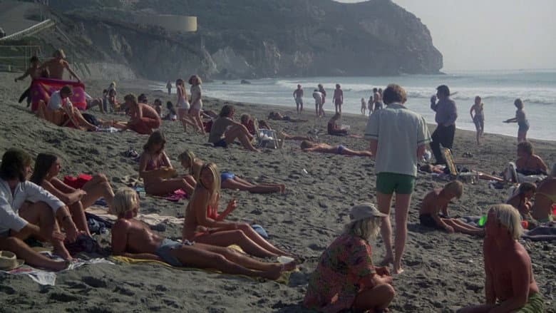 Backdrop from California Dreaming