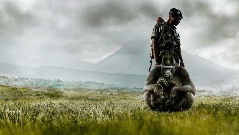 Backdrop from Virunga