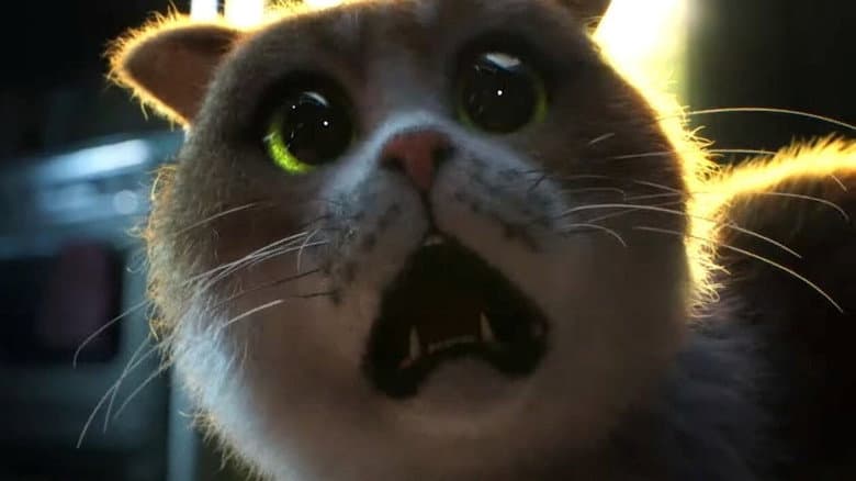 Кадр із фільму «Scaredy Cat»