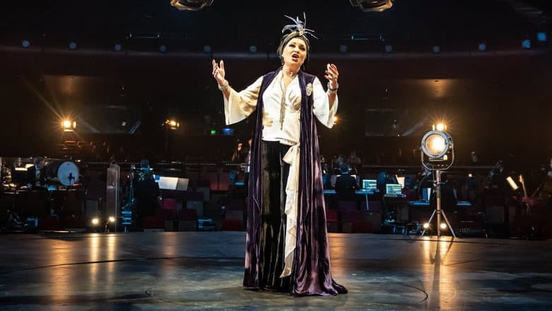 Backdrop from Sunset Boulevard in Concert