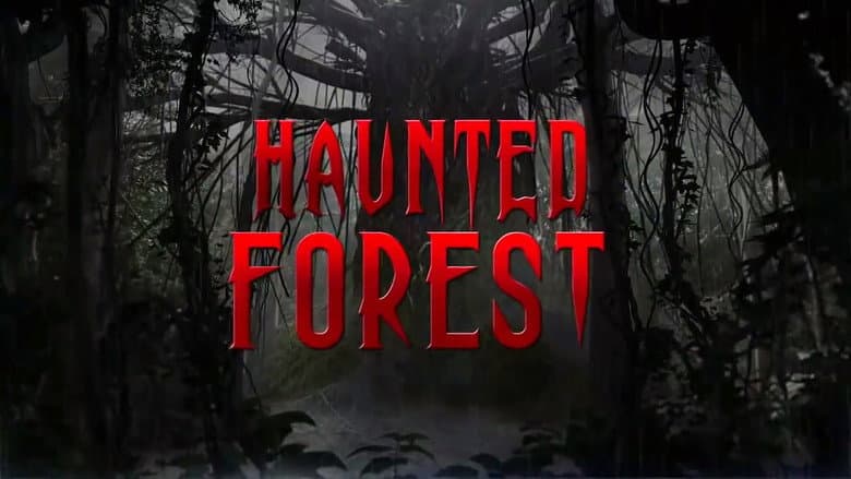 Backdrop from Haunted Forest
