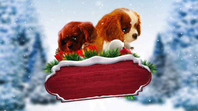 Backdrop from Project: Puppies for Christmas