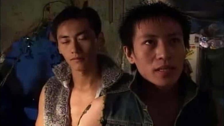 Backdrop from Night Scene