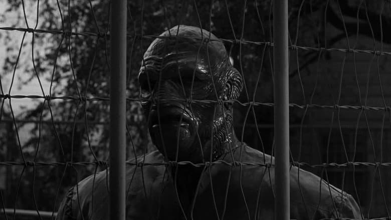 Backdrop from The Creature Walks Among Us