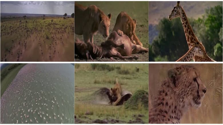 Backdrop from Africa: The Serengeti