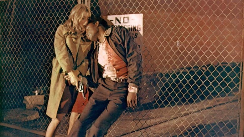 Backdrop from The Lost Man