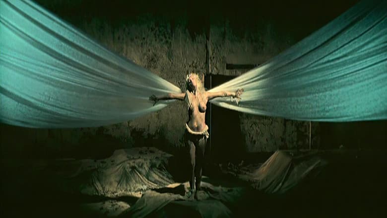 Backdrop from Death ...is just the beginning vol. VI