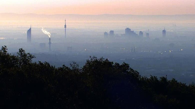 Backdrop from Vienna's Forests - Jewels of Green