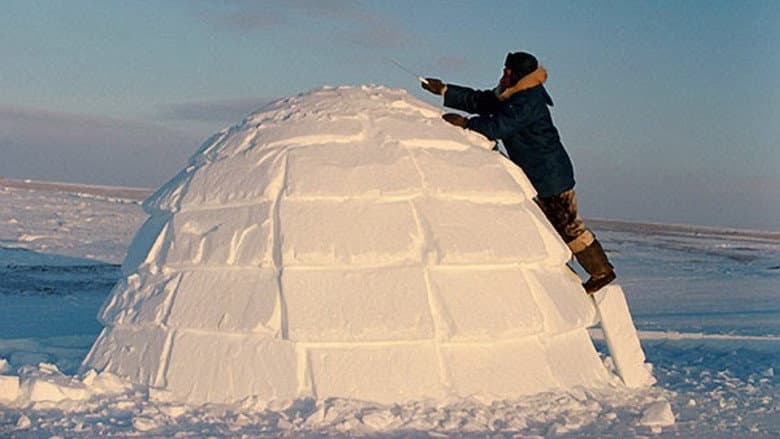 Backdrop from How to Build an Igloo
