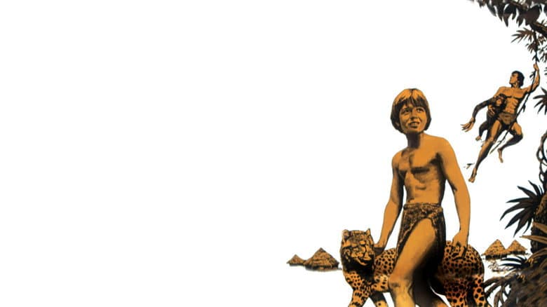 Backdrop from Tarzan and the Jungle Boy