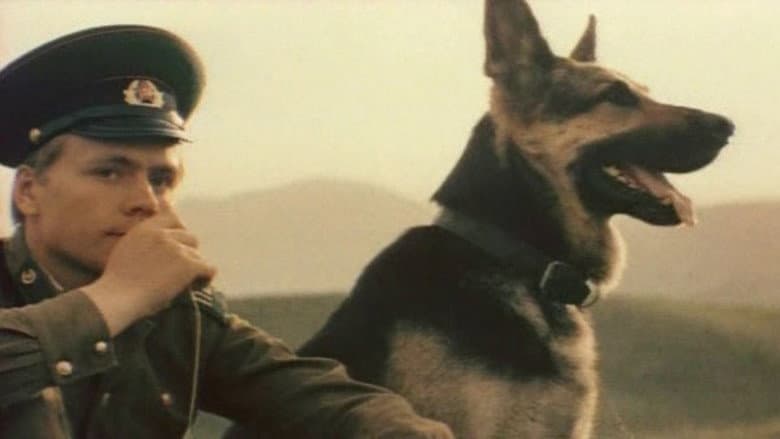 Backdrop from Border Dog Scarlet