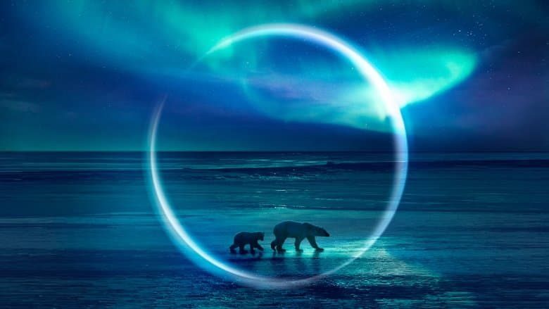 Backdrop from Frozen Planet II