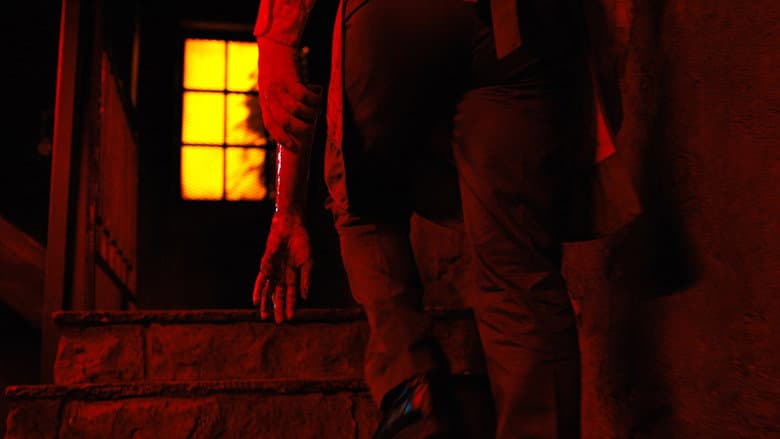 Backdrop from Red Light