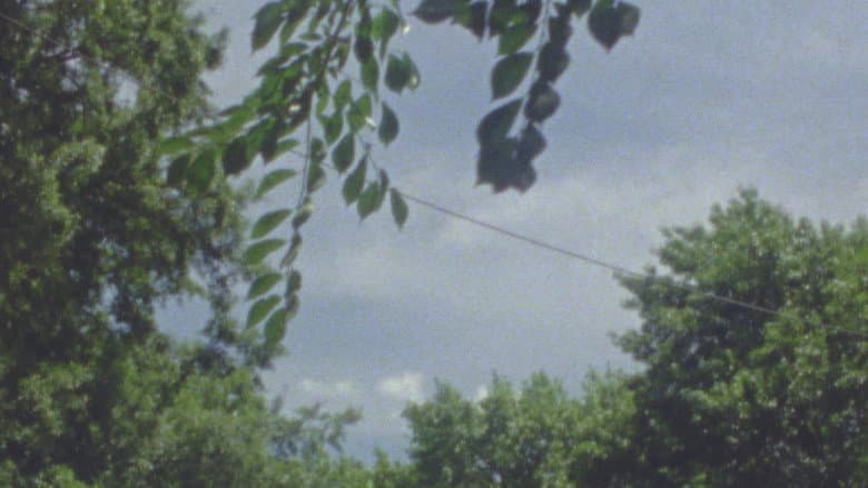 Backdrop from Airing