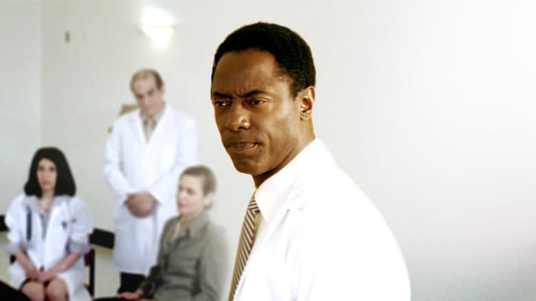 Backdrop from Doctor Bello