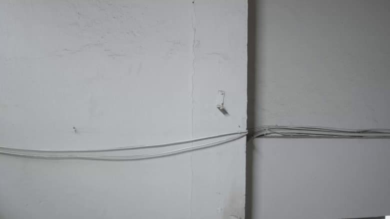 Backdrop from ela viu aranhas