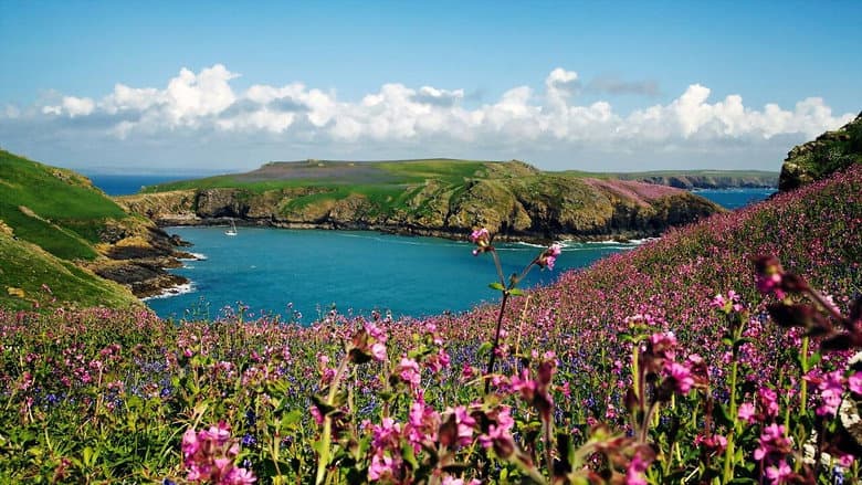Backdrop from Wales: Great Britain's Wild West