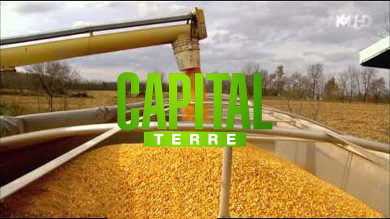 Backdrop from Capital Terre