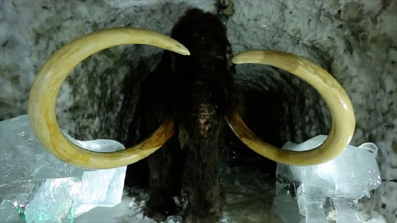 Backdrop from Passions For The Mammoth