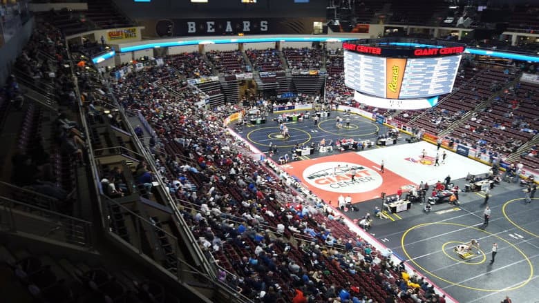 Backdrop from Iron Maidens: Wrestling for Glory