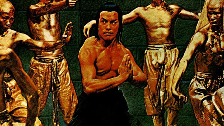 Backdrop from The Best of Shaolin Kung Fu
