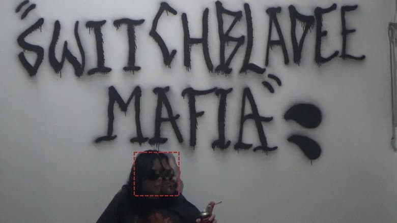 Backdrop from SWITCHBLADEE MAFIA