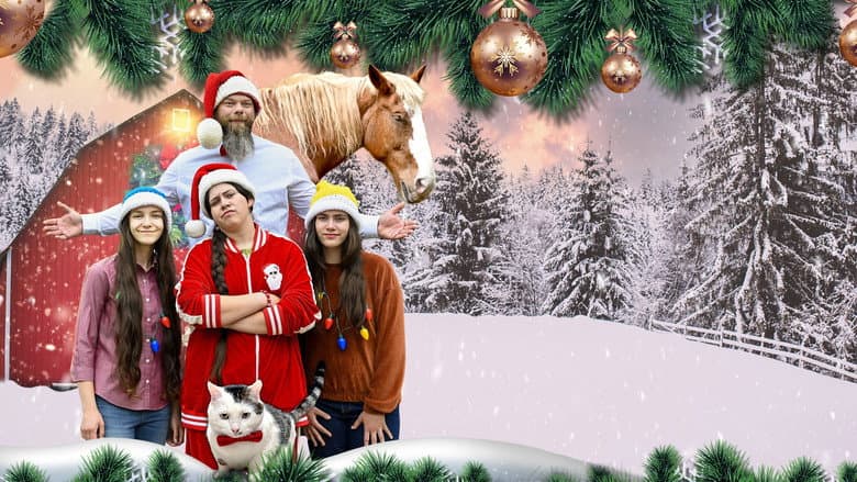 Backdrop from Parents for Christmas