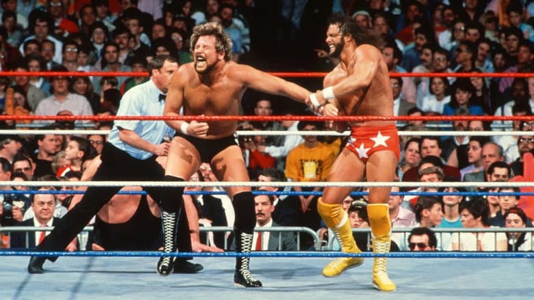 Backdrop from WrestleMania IV