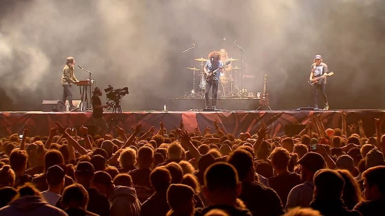 Backdrop from Wolfmother - Deichbrand Festival