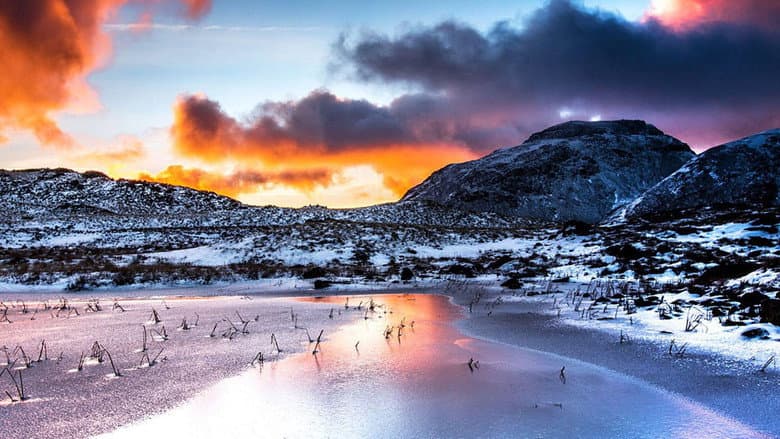 Backdrop from The Lake District: A Wild Year