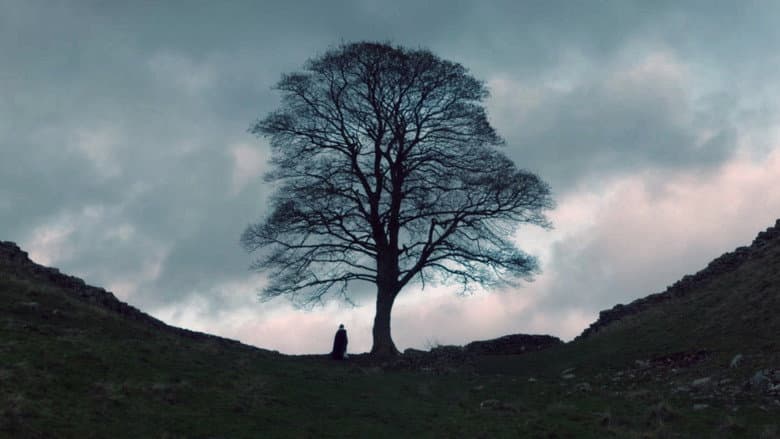 Backdrop from The Sycamore Gap