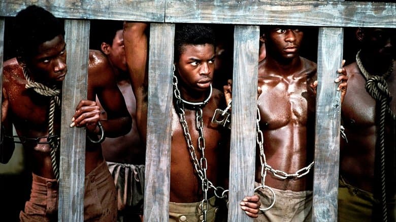 Backdrop from Roots