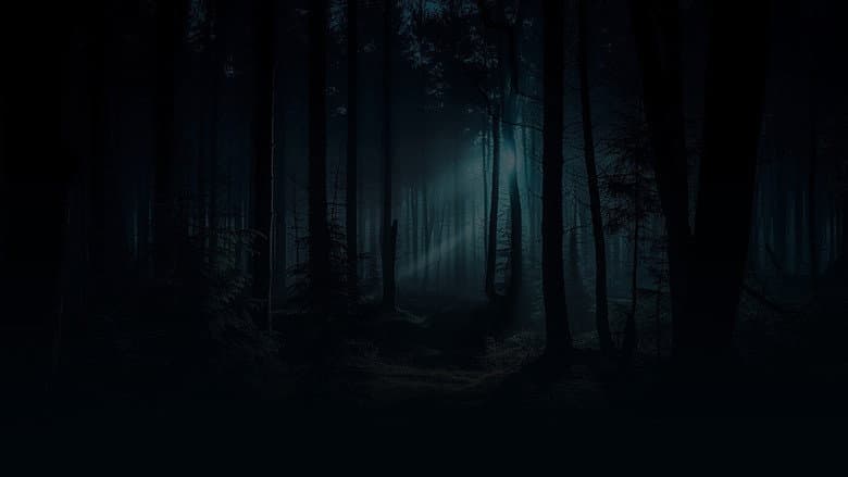 Backdrop from The Haunting Lodge