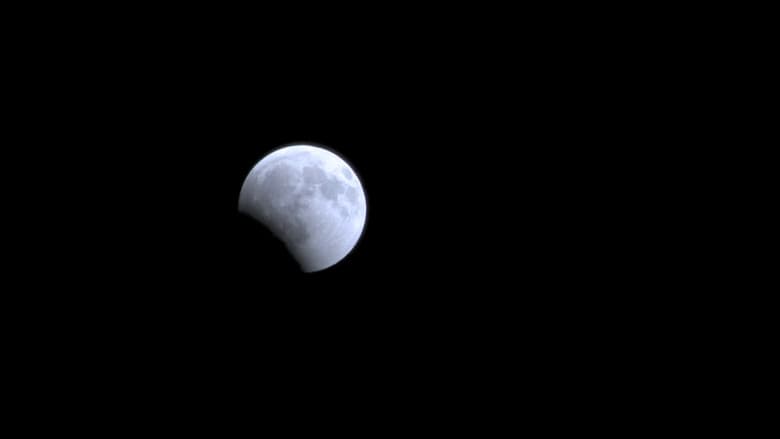 Backdrop from Blood Moon's Dance