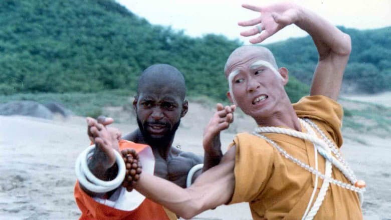 Backdrop from Shaolin Dolemite