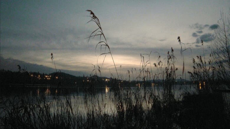 Backdrop from From the Water's Edge Down