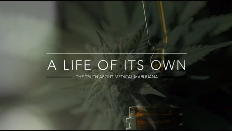 Backdrop from A Life of Its Own: The Truth About Medical Marijuana