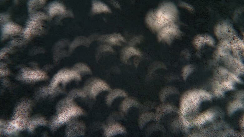 Backdrop from Umbra