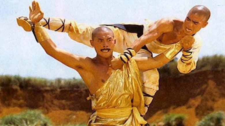 Backdrop from Shaolin vs. Lama