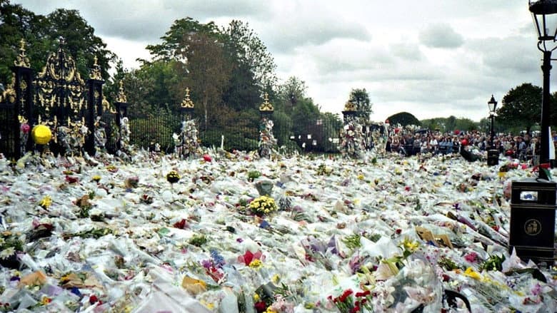 Backdrop from The Last Days of Princess Diana