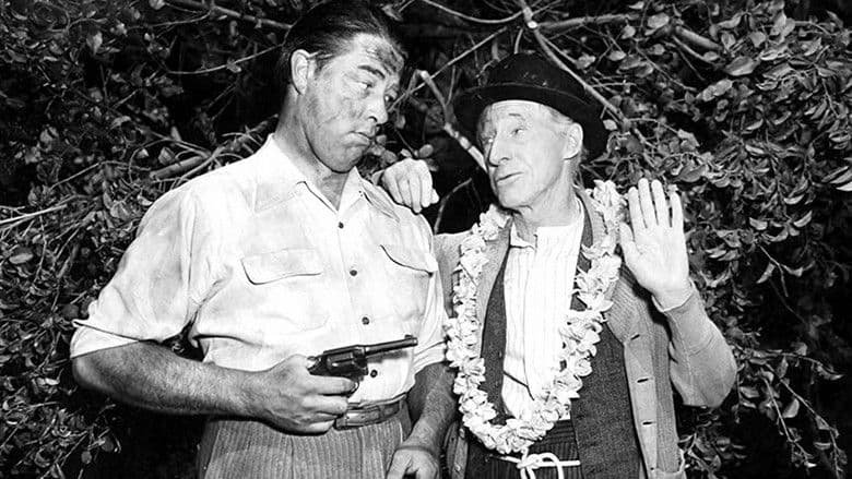 Backdrop from Ma and Pa Kettle at Waikiki