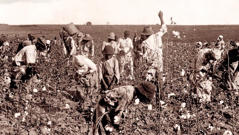 Backdrop from Slavery and the Making of America