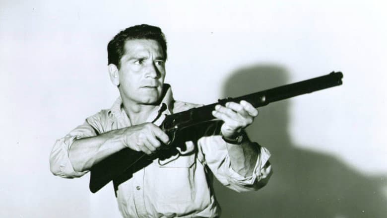 Backdrop from Under the Gun
