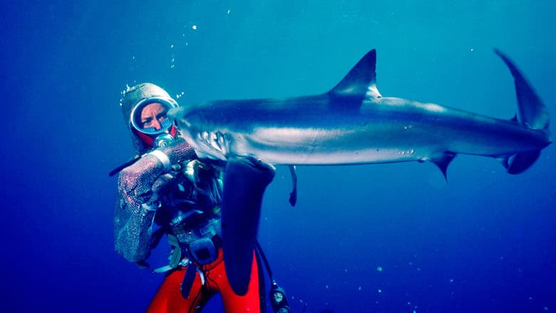 Backdrop from Playing with Sharks